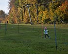 Bilder Anzeigen